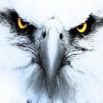 Martin__33